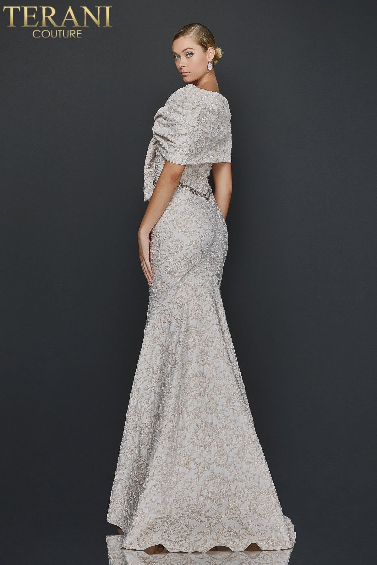 Terani Couture Style 1921M0726 Mother of the Bride Dress view 3