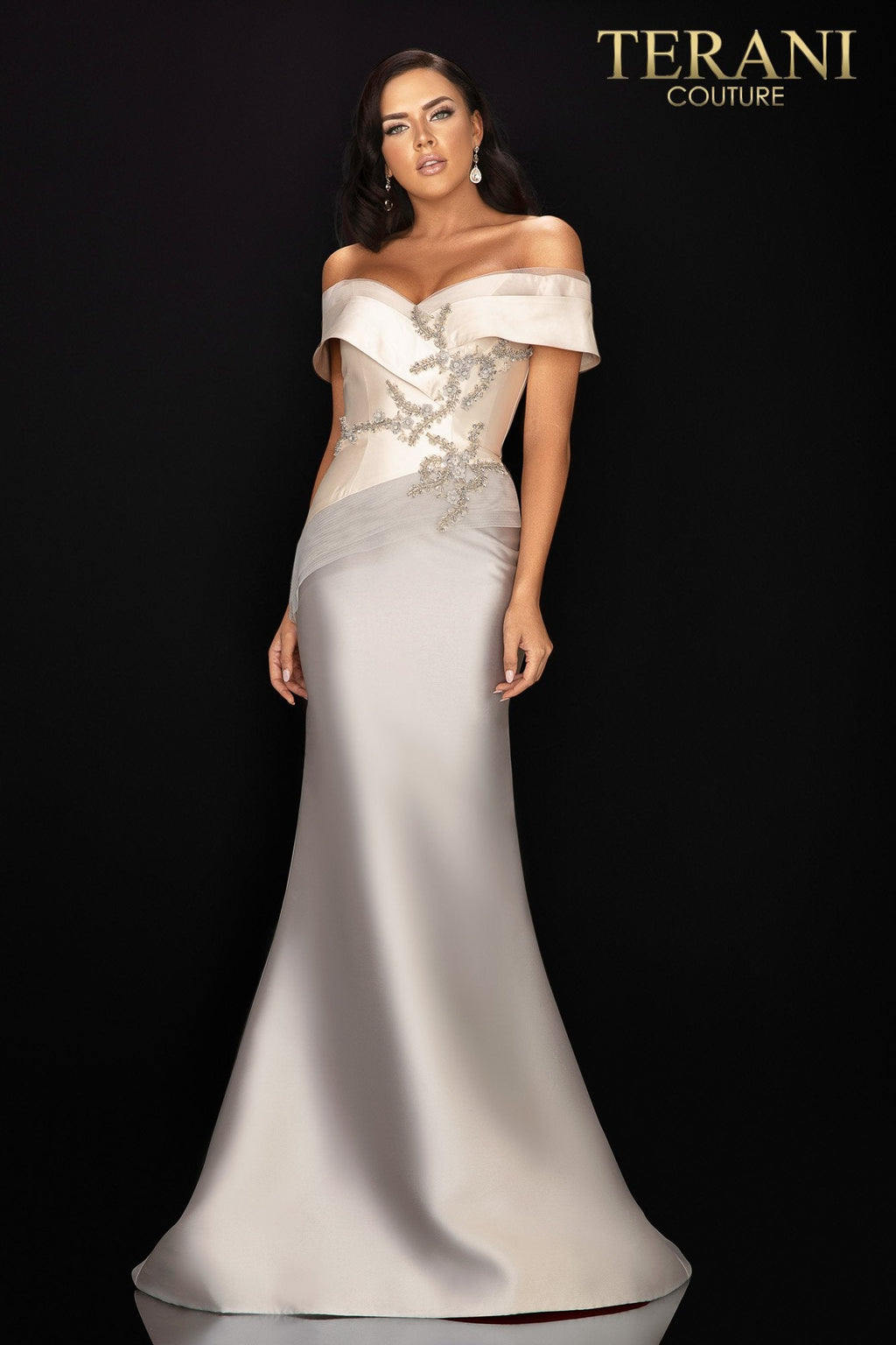 Terani Couture Style 2011M2159 Mother of the Bride Dress front view