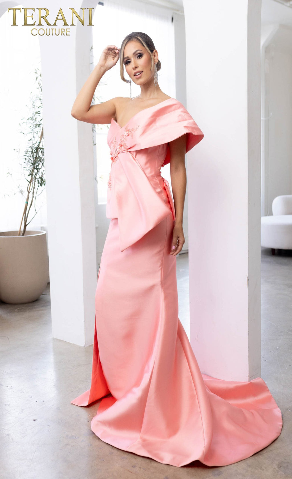 Terani Couture Style 241E2468 Evening Gown view 5