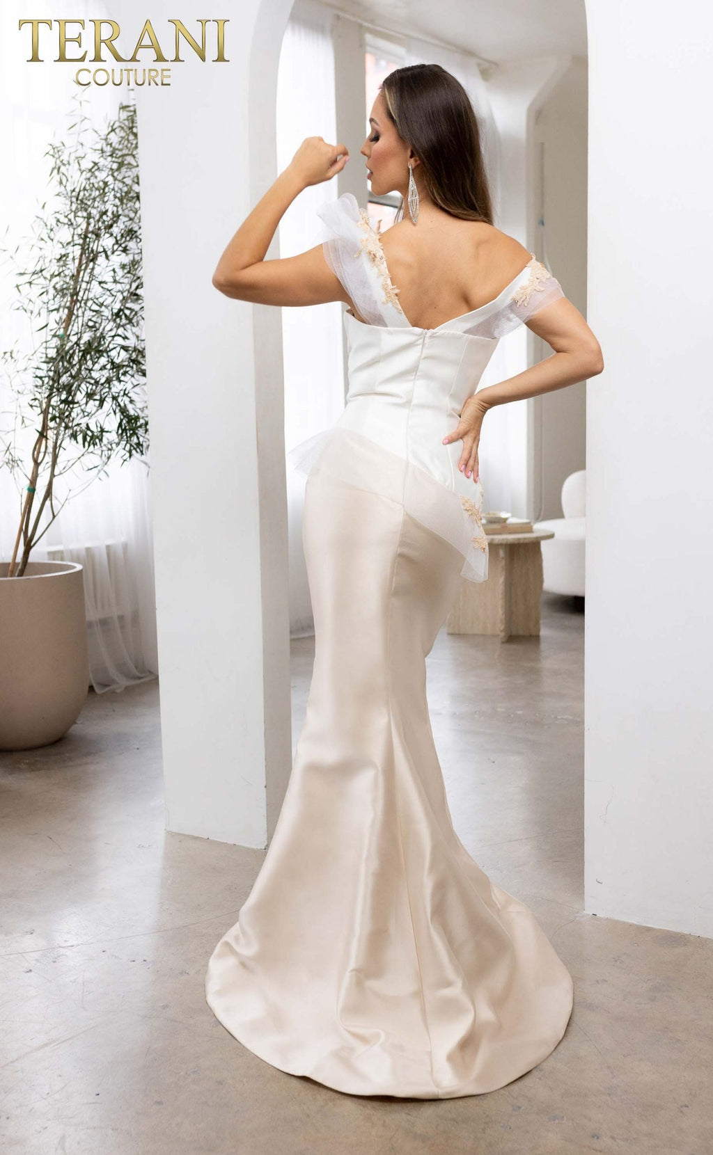 Terani Couture Style 241E2478 Evening Gown view 2