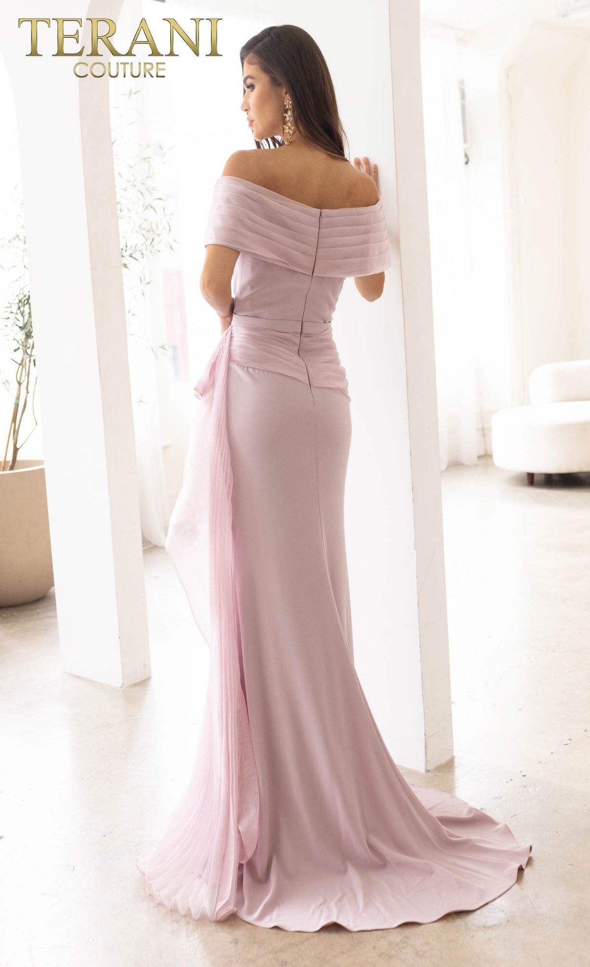 Terani Couture Style 241M2703 Mother of the Bride Dress view 3