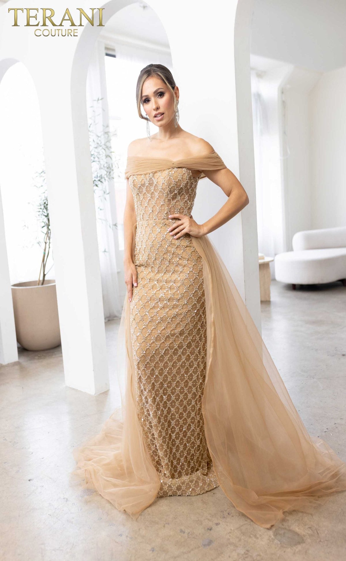 Terani Couture Style 241M2706 Mother of the Bride Dress view 5