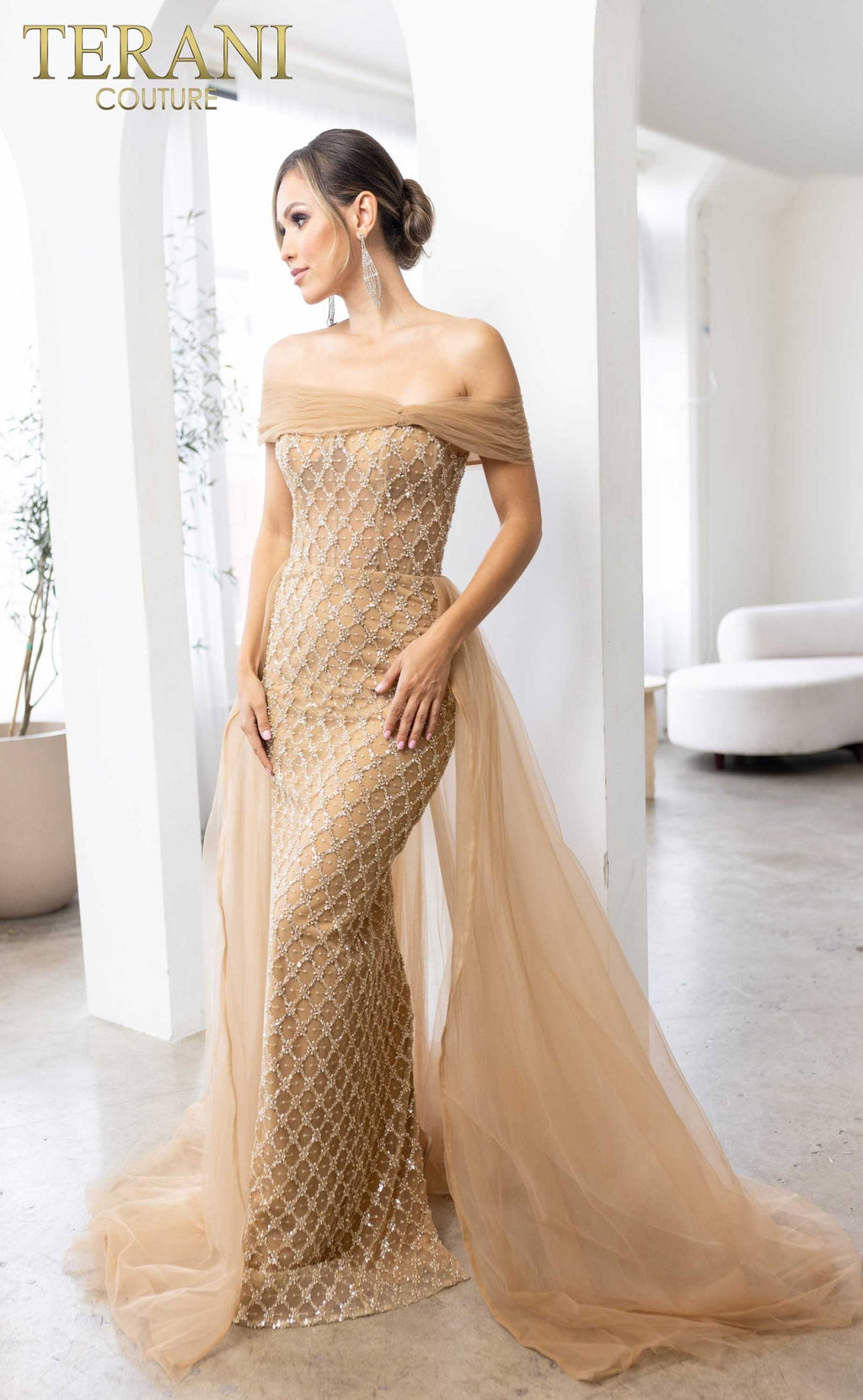 Terani Couture Style 241M2706 Mother of the Bride Dress view 4
