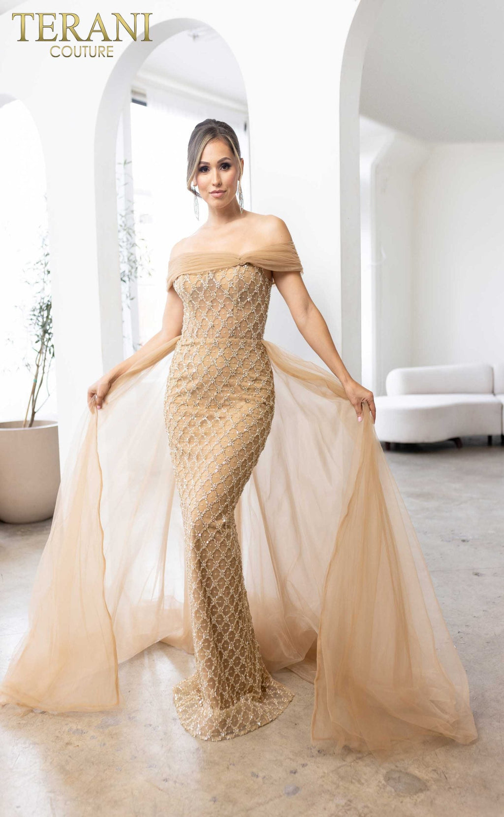Terani Couture Style 241M2706 Mother of the Bride Dress view 2