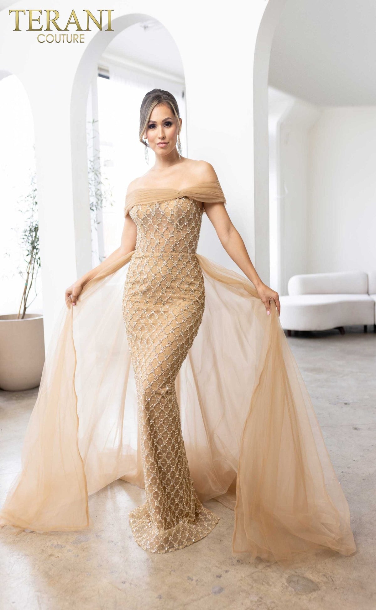 Terani Couture Style 241M2706 Mother of the Bride Dress view 2