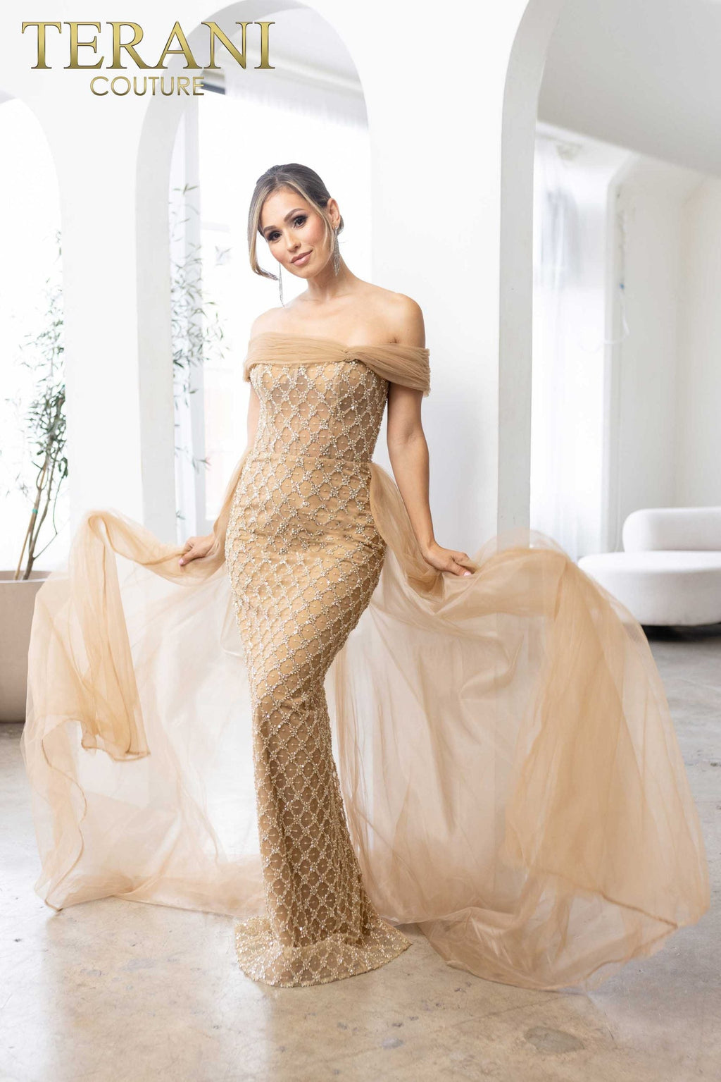 Terani Couture Style 241M2706 Mother of the Bride Dress view 3