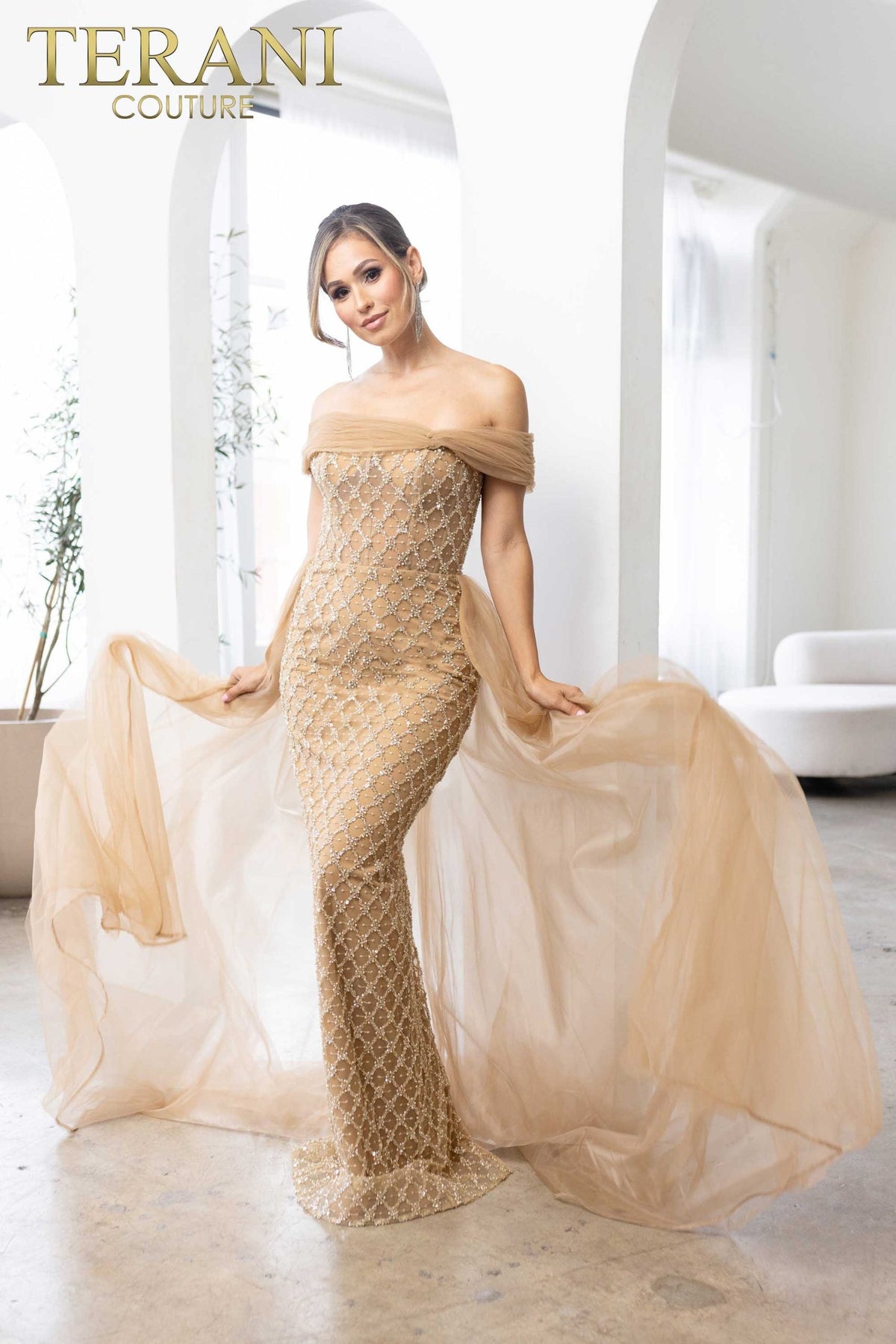 Terani Couture Style 241M2706 Mother of the Bride Dress view 3