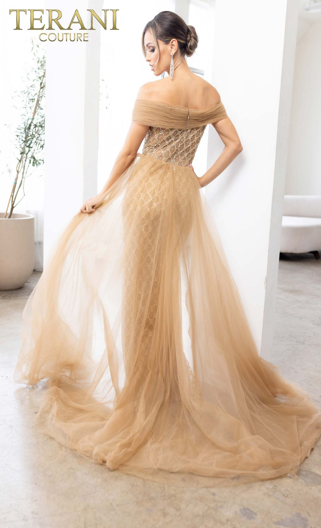 Terani Couture Style 241M2706 Mother of the Bride Dress view 6