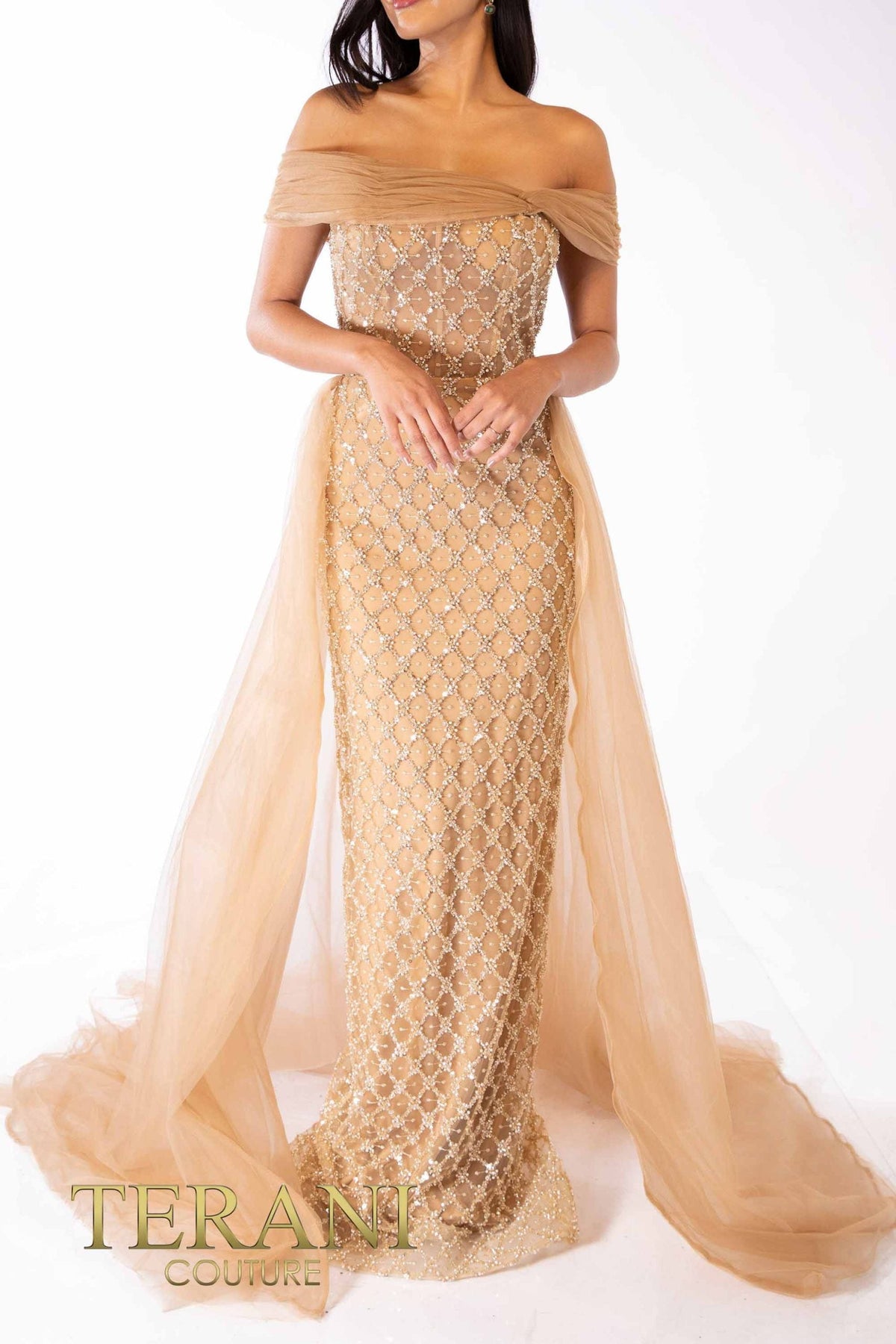 Terani Couture Style 241M2706 Mother of the Bride Dress front view