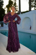 Terani Couture Long Sleeves A-Line V-Neck Lace on Tulle Evening Dress front view