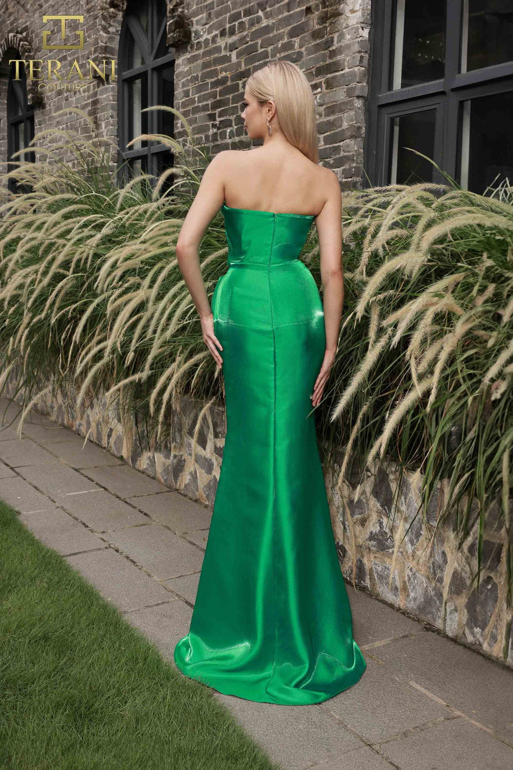 Terani Couture Style 251E4231 Evening Gown view 3