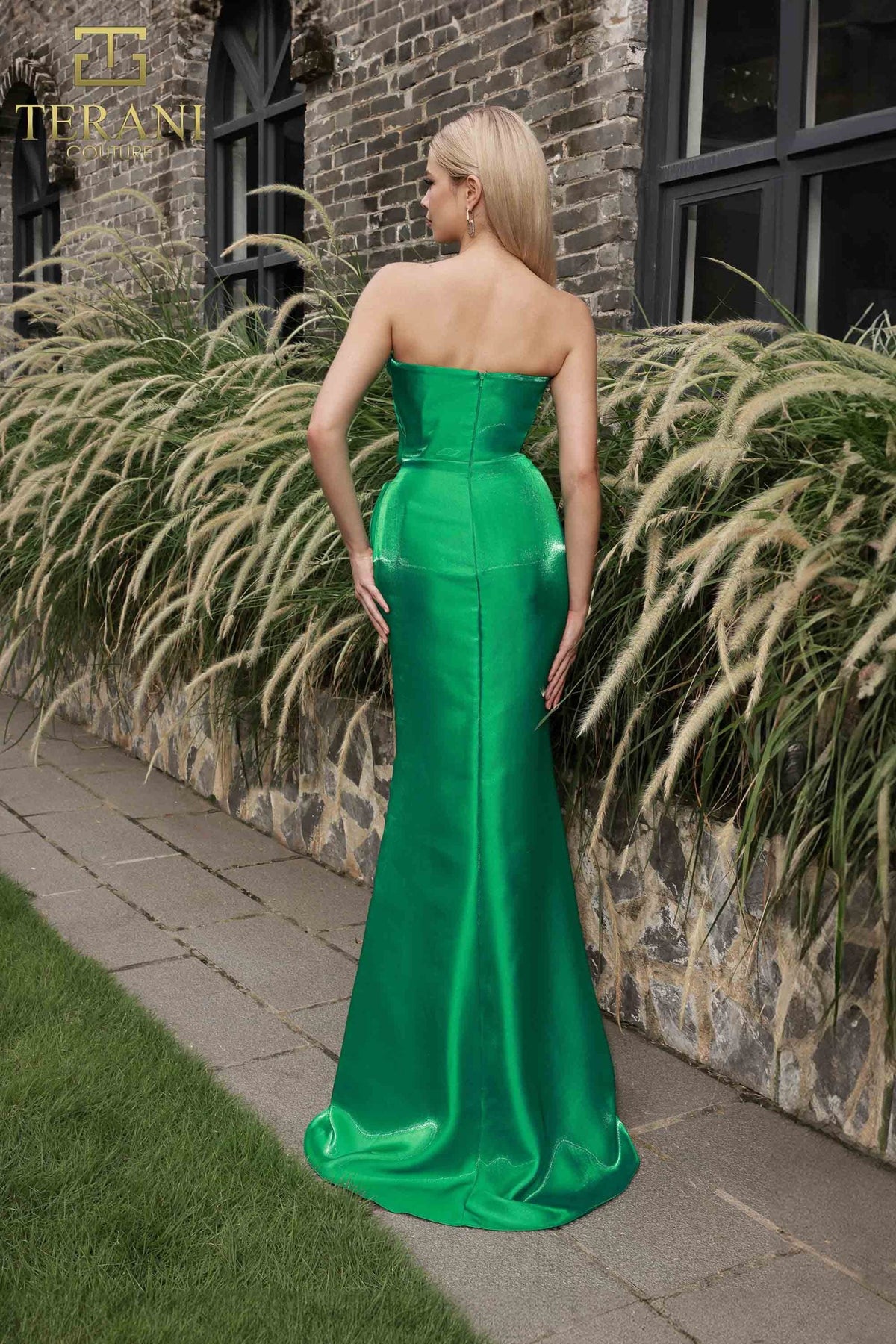 Terani Couture Style 251E4231 Evening Gown view 3