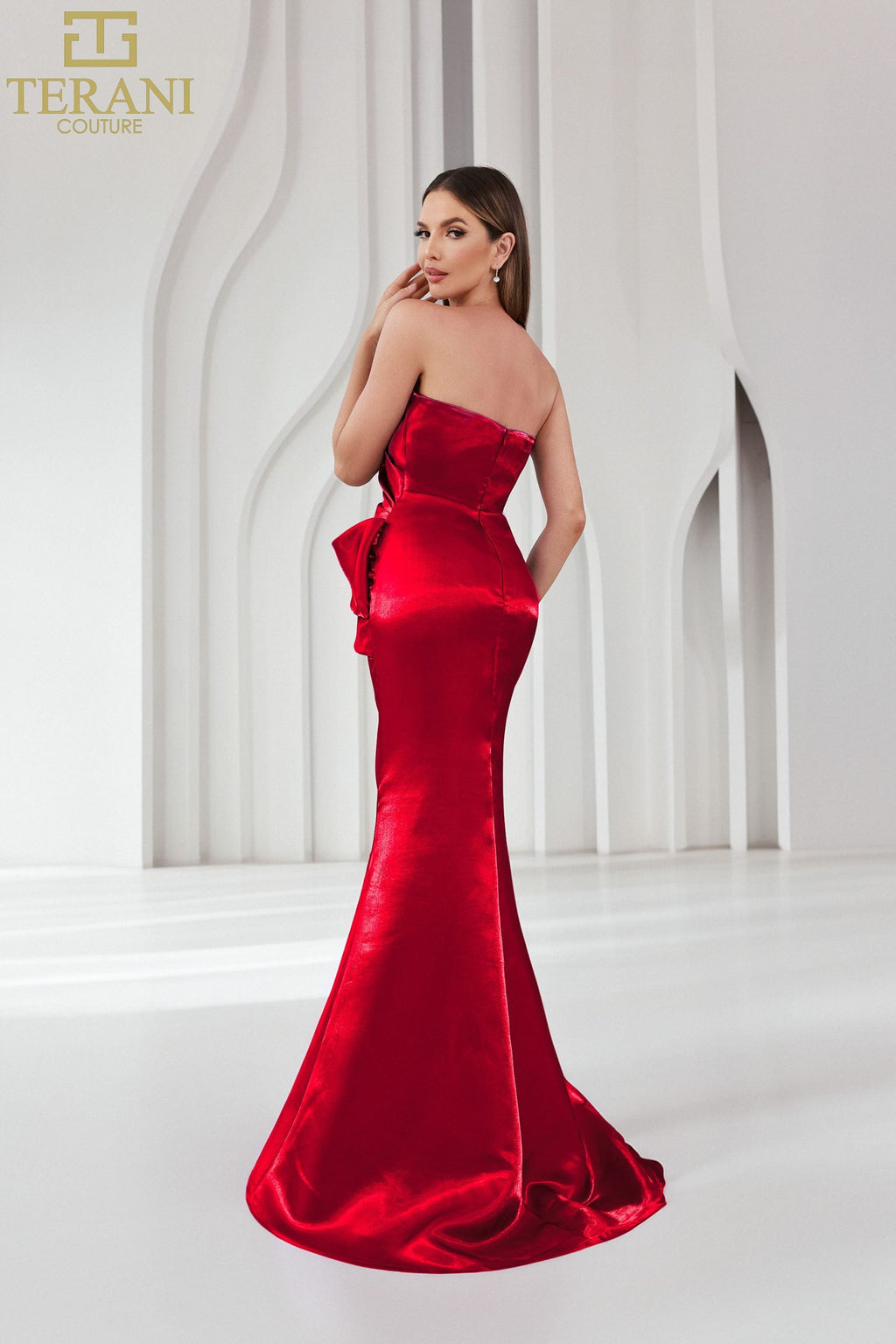 Terani Couture Style 251E4231 Evening Gown view 12