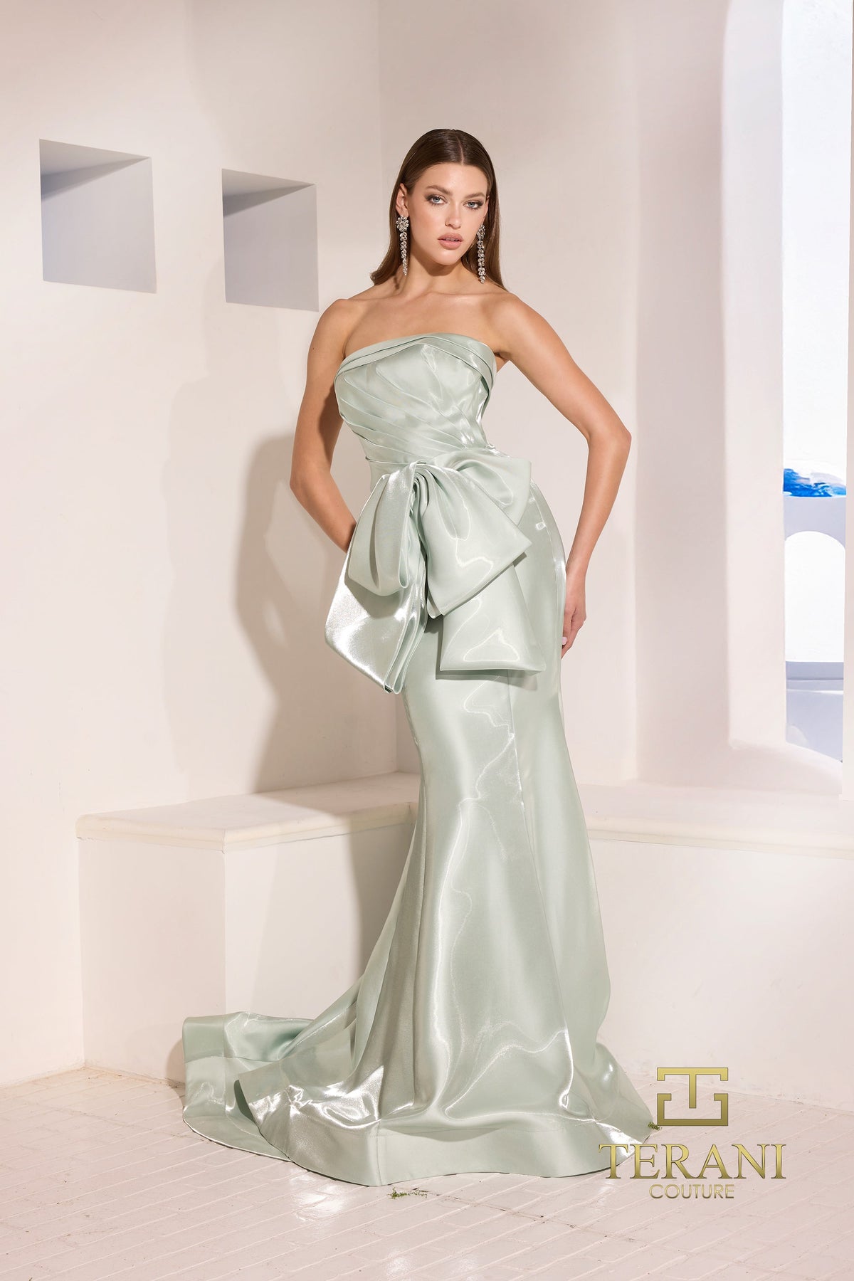 Terani Couture Style 252E5164 Evening Gown view 3