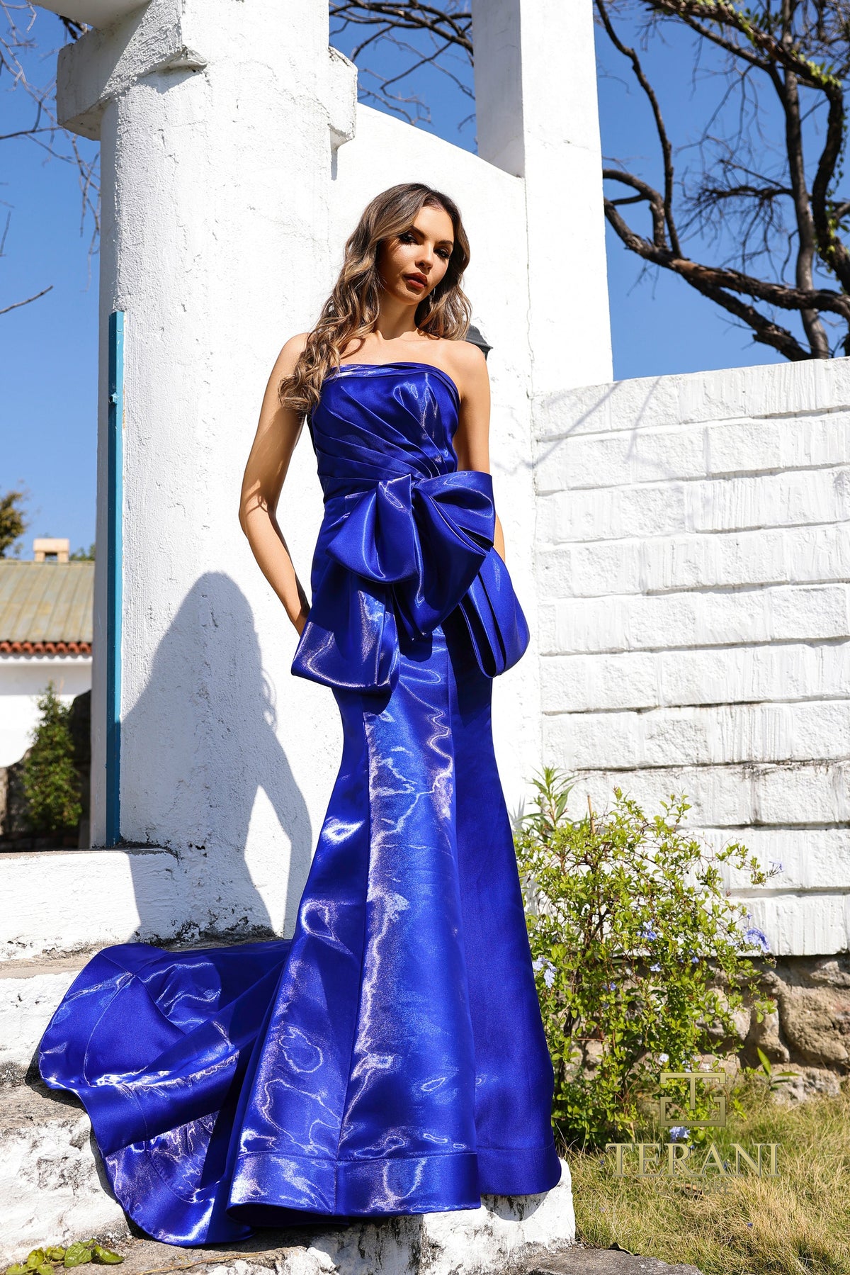 Terani Couture Style 252E5164 Evening Gown front view