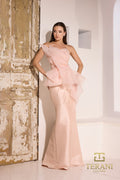 Terani Couture Style 252E5550 Evening Gown front view