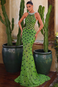 Chic & Holland Style AR330474 Prom Dress front view
